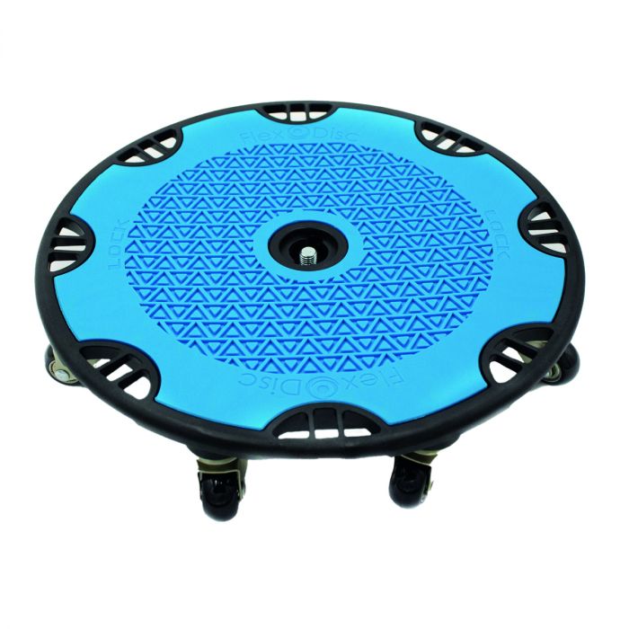 Flex Disc main product photo